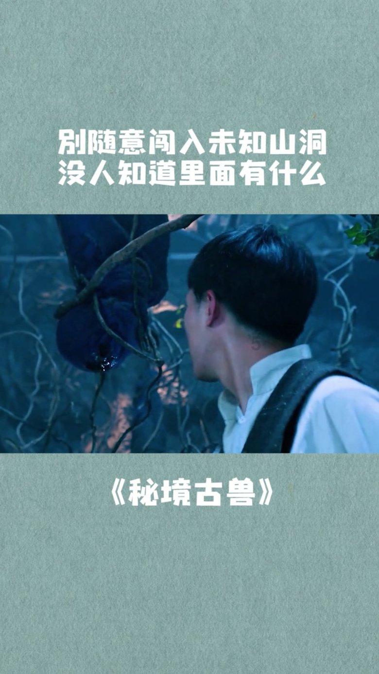 热带假日
